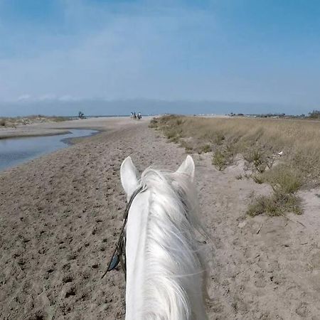 "Le Nature" Camargue Jardin Arles Exterior foto