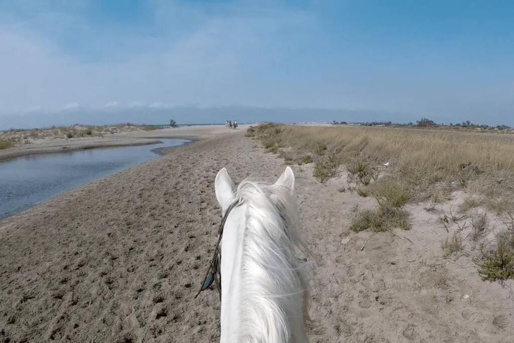 "Le Nature" Camargue Jardin Arles Exterior foto